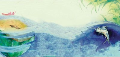 माछाको योजना